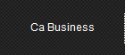Ca Business